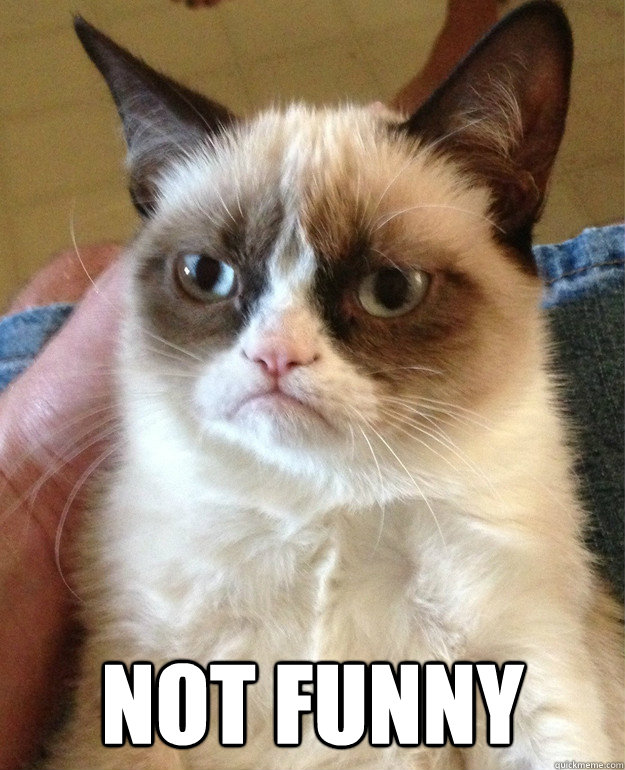  Not funny  Grumpy Cat