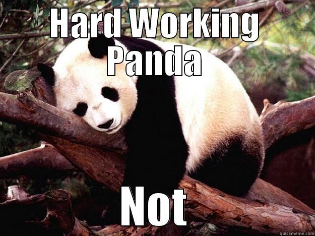 HARD WORKING PANDA NOT Procrastination Panda