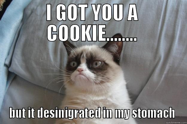 COOKIE in mah tummy - I GOT YOU A COOKIE........ BUT IT DESINIGRATED IN MY STOMACH Grumpy Cat