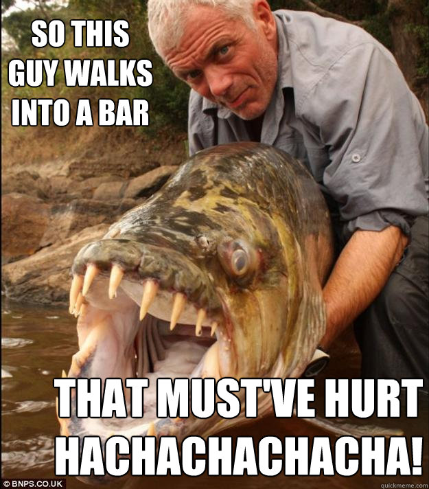 So this guy walks into a bar That must've hurt Hachachachacha! - So this guy walks into a bar That must've hurt Hachachachacha!  Comedy Fish