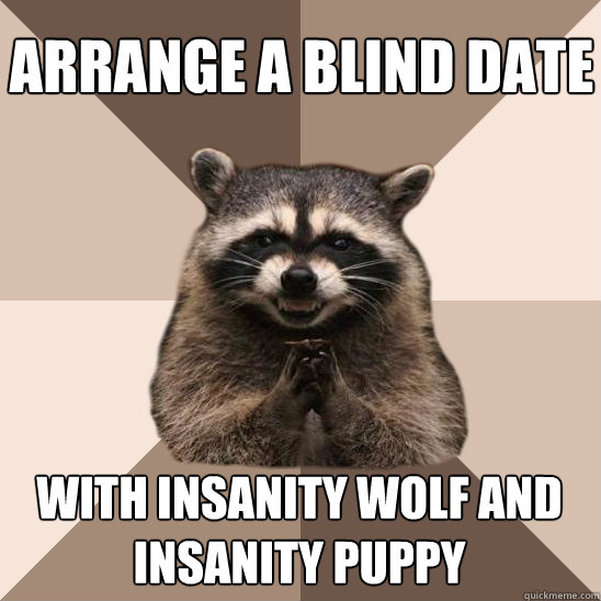 Arrange a blind date with insanity wolf and insanity puppy - Arrange a blind date with insanity wolf and insanity puppy  Evil Plotting Raccoon