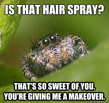 Is that hair spray? That's so sweet of you. You're giving me a makeover.  Misunderstood Spider