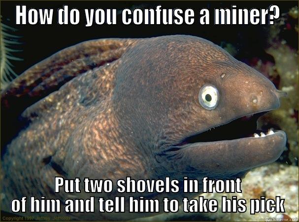 HOW DO YOU CONFUSE A MINER? PUT TWO SHOVELS IN FRONT OF HIM AND TELL HIM TO TAKE HIS PICK Bad Joke Eel