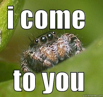 I COME  TO YOU Misunderstood Spider