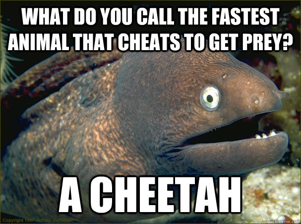 WHAT DO YOU CALL THE FASTEST ANIMAL THAT CHEATS TO GET PREY? A CHEETAH  Bad Joke Eel