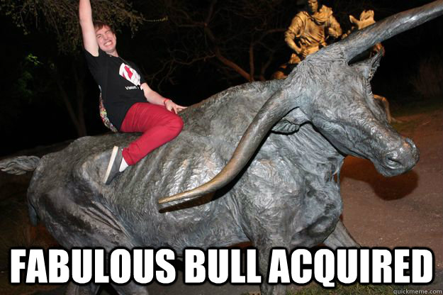  Fabulous bull acquired  