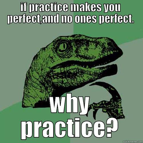 IF PRACTICE MAKES YOU PERFECT,AND NO ONES PERFECT. WHY PRACTICE? Philosoraptor