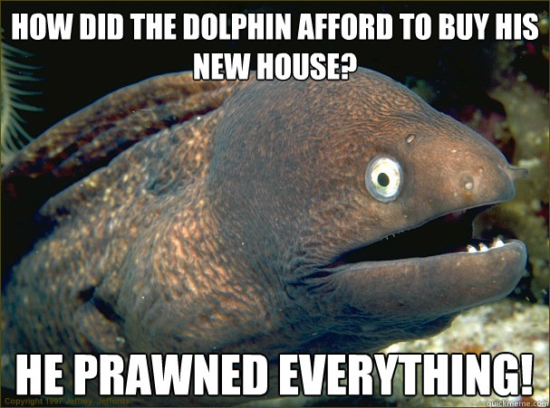 How did the dolphin afford to buy his new house? he prawned everything!  Bad Joke Eel