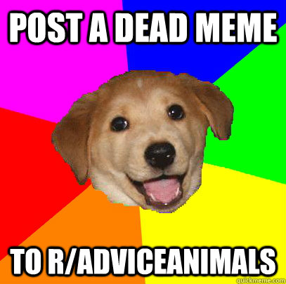 POST A DEAD MEME TO R/ADVICEANIMALS  Advice Dog