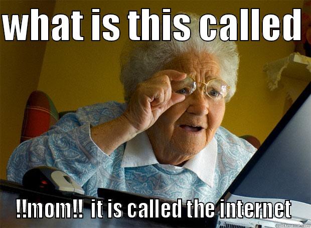 what is this magical device  - WHAT IS THIS CALLED  !!MOM!!  IT IS CALLED THE INTERNET Grandma finds the Internet