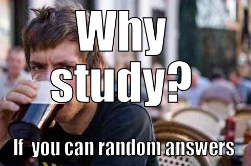 WHY STUDY? IF  YOU CAN RANDOM ANSWERS Lazy College Senior