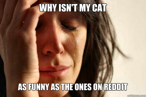 WHY ISN'T MY CAT AS FUNNY AS THE ONES ON REDDIT  First World Problems