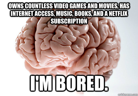 Owns countless video games and movies, has internet access, music, books, and a Netflix subscription I'm bored.  Scumbag Brain