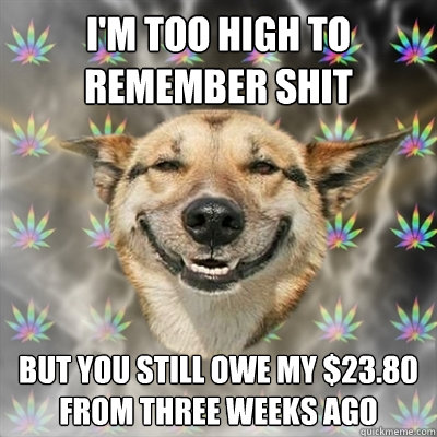 I'm too high to remember shit but you still owe my $23.80 from three weeks ago  Stoner Dog