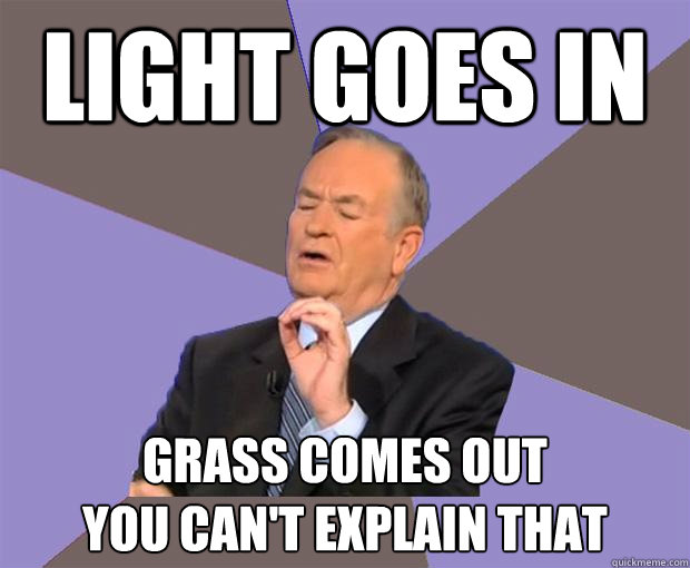 light goes in grass comes out
you can't explain that - light goes in grass comes out
you can't explain that  Bill O Reilly