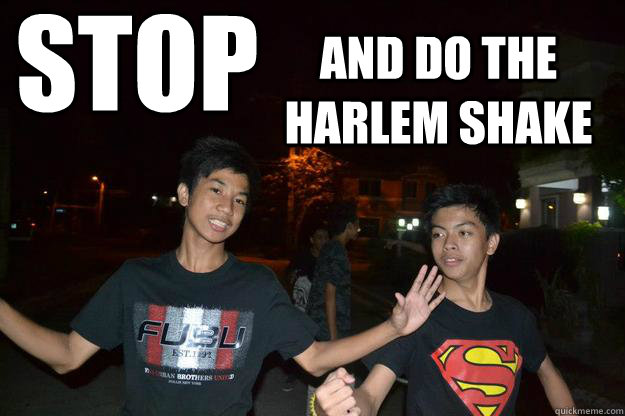 stop and do the harlem shake  