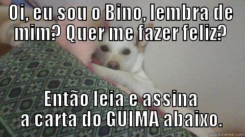 OI, EU SOU O BINO, LEMBRA DE MIM? QUER ME FAZER FELIZ? ENTÃO LEIA E ASSINA A CARTA DO GUIMA ABAIXO. Misc