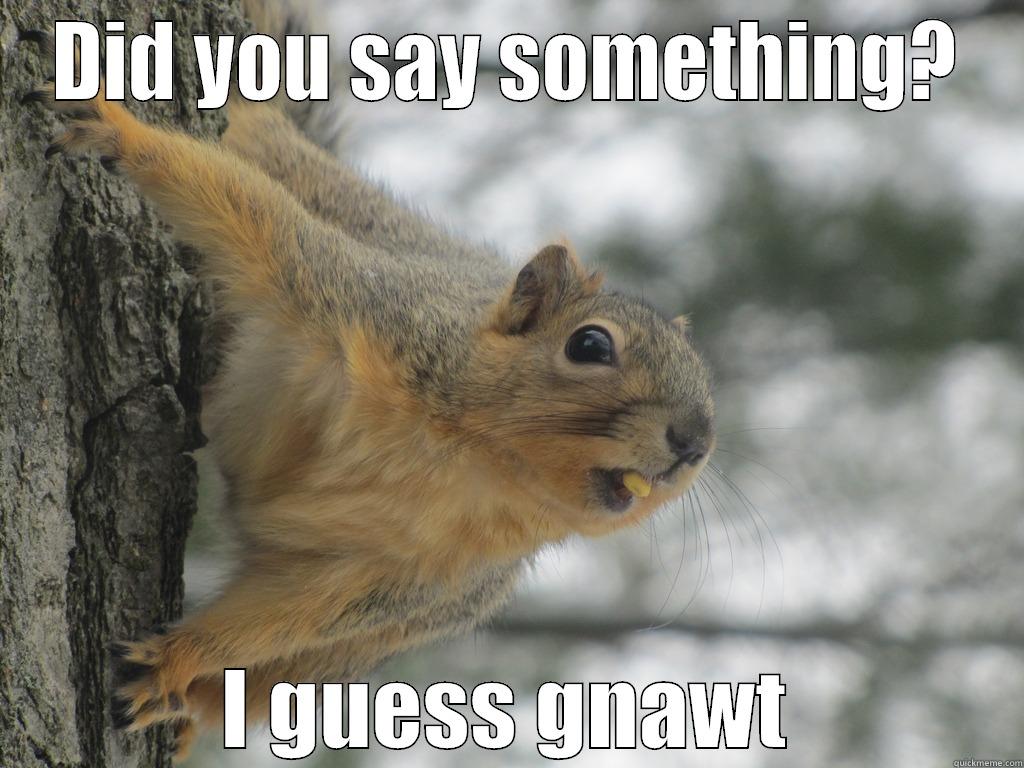 Intrusive Squirrel - DID YOU SAY SOMETHING? I GUESS GNAWT Misc