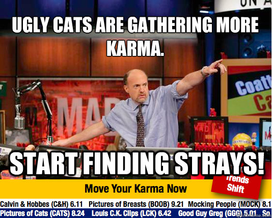 Ugly cats are gathering more karma.
 Start finding strays!  Mad Karma with Jim Cramer