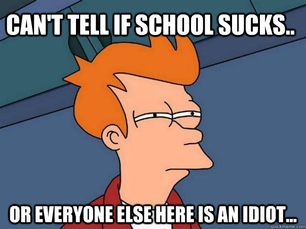 Can't tell if school sucks.. Or everyone else here is an idiot...  Futurama Fry