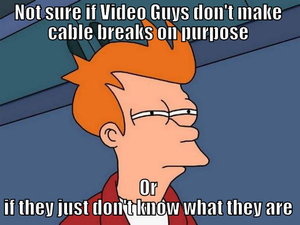 NOT SURE IF VIDEO GUYS DON'T MAKE CABLE BREAKS ON PURPOSE OR IF THEY JUST DON'T KNOW WHAT THEY ARE Futurama Fry