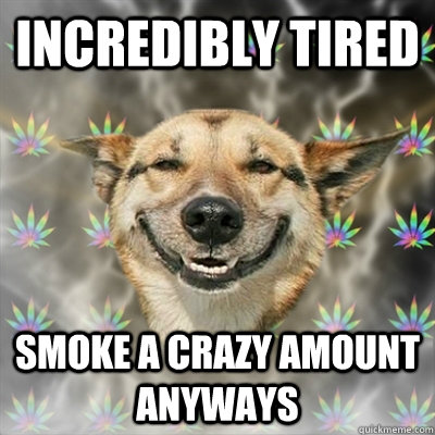 Incredibly Tired Smoke a crazy amount anyways - Incredibly Tired Smoke a crazy amount anyways  Stoner Dog