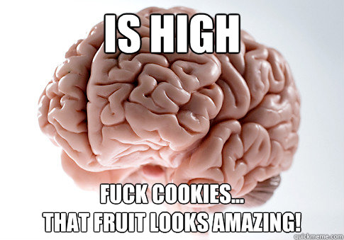 Is high Fuck cookies...
that fruit looks amazing!  Scumbag Brain