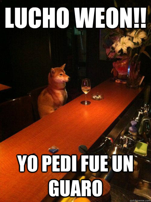 lucho weon!! yo pedi fue un guaro  