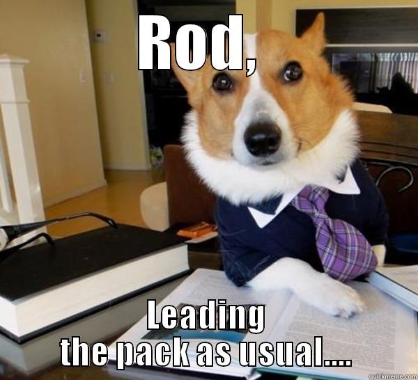 ROD,  LEADING THE PACK AS USUAL.... Lawyer Dog