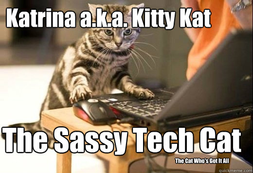 Katrina a.k.a. Kitty Kat The Sassy Tech Cat The Cat Who's Got It All  Angry Computer Cat