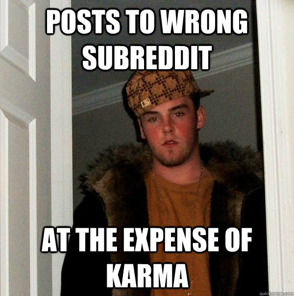 posts to wrong subreddit at the expense of karma - posts to wrong subreddit at the expense of karma  Scumbag Steve