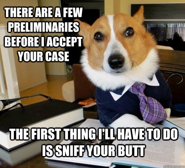 there are a few preliminaries before i accept your case the first thing i'll have to do is sniff your butt  Lawyer Dog