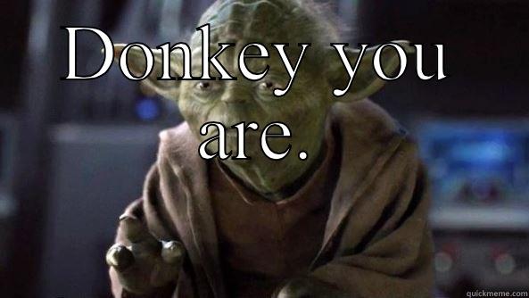 DONKEY YOU ARE.  True dat, Yoda.