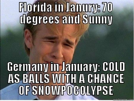 FLORIDA IN JANURY: 70 DEGREES AND SUNNY GERMANY IN JANUARY: COLD AS BALLS WITH A CHANCE OF SNOWPOCOLYPSE 1990s Problems