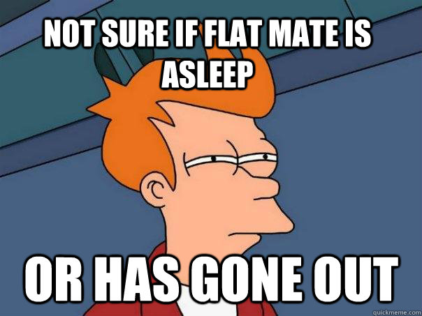 Not sure if flat mate is asleep or has gone out  Futurama Fry