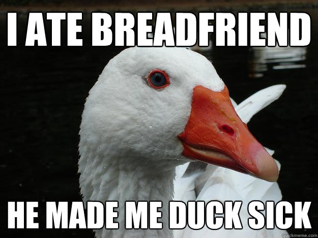 I ate breadfriend He made me duck sick - I ate breadfriend He made me duck sick  Wisdom Duck