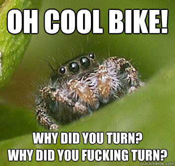 Oh cool bike! Why did you turn? 
Why did you fucking turn?  Misunderstood Spider