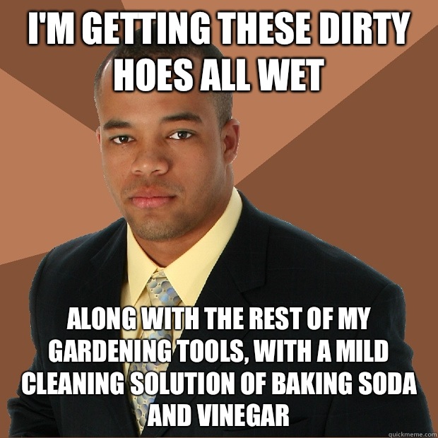 I'm getting these dirty hoes all wet Along with the rest of my gardening tools, with a mild cleaning solution of baking soda and vinegar - I'm getting these dirty hoes all wet Along with the rest of my gardening tools, with a mild cleaning solution of baking soda and vinegar  Successful Black Man