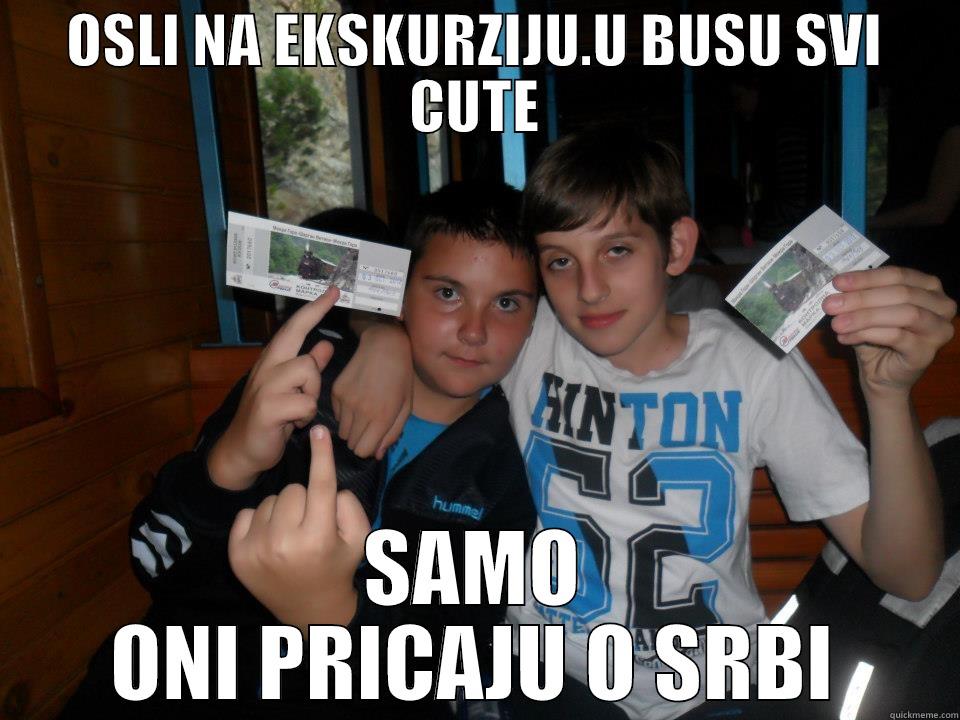 OSLI NA EKSKURZIJU.U BUSU SVI CUTE SAMO ONI PRICAJU O SRBI Misc