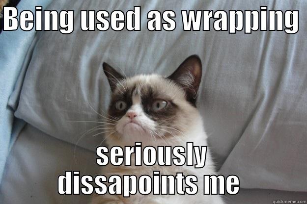 noone cares - BEING USED AS WRAPPING  SERIOUSLY DISAPPOINTS ME  Grumpy Cat