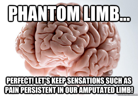 Phantom Limb... Perfect! Let's keep sensations such as pain persistent in our amputated limb!  Scumbag Brain