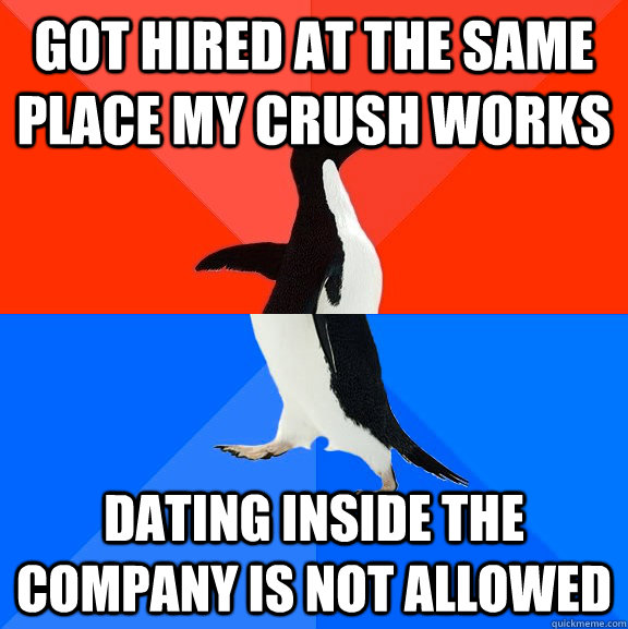 Got hired at the same place my crush works dating inside the company is not allowed - Got hired at the same place my crush works dating inside the company is not allowed  Socially Awesome Awkward Penguin