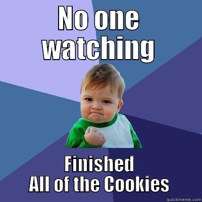 Finished Container of Cookies - NO ONE WATCHING FINISHED ALL OF THE COOKIES Success Kid