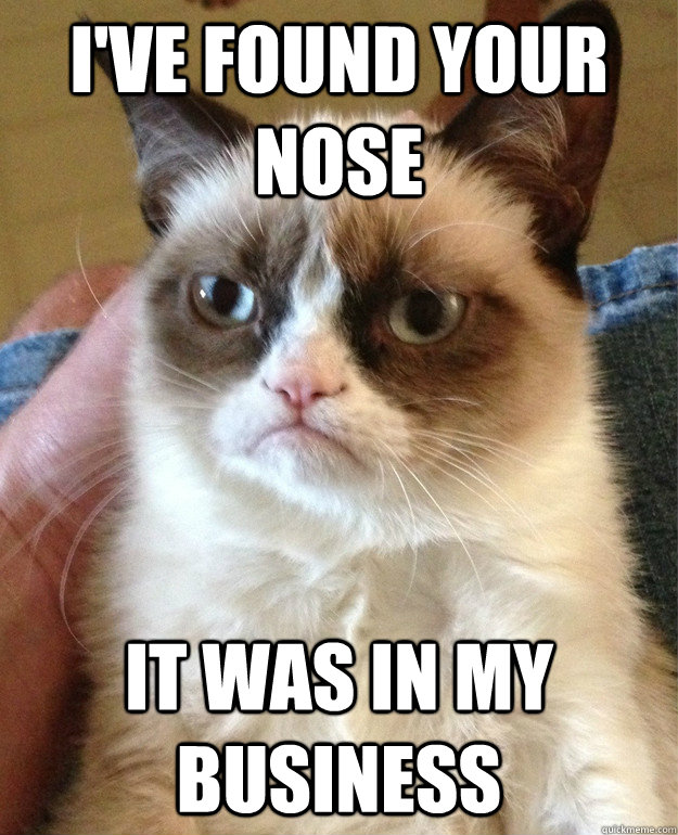 i've found your nose it was in my business  Grumpy Cat