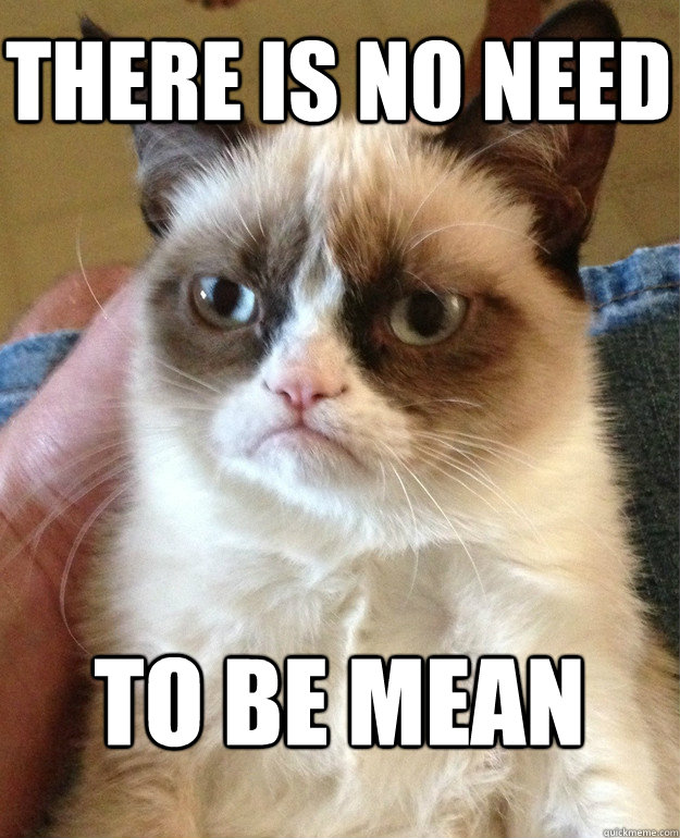 There is no need to be mean  Grumpy Cat