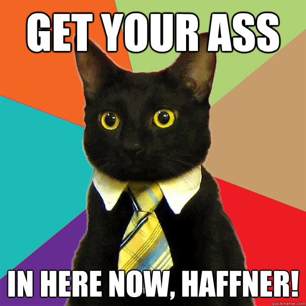 get your ass in here now, Haffner!  Business Cat