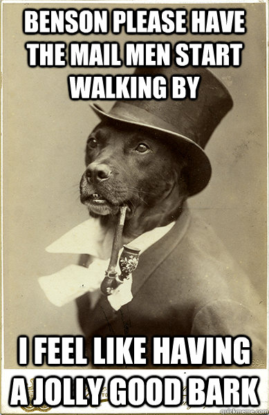 benson please Have the mail men start walking by I feel like having a jolly good bark - benson please Have the mail men start walking by I feel like having a jolly good bark  Old Money Dog