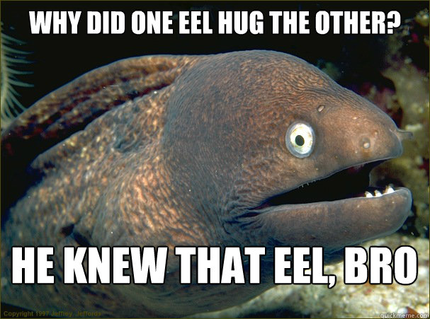 Why did one EEl Hug the other? He knew that Eel, Bro  Bad Joke Eel