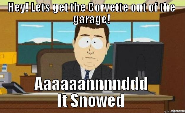 HEY! LETS GET THE CORVETTE OUT OF THE GARAGE! AAAAAANNNNDDD IT SNOWED aaaand its gone