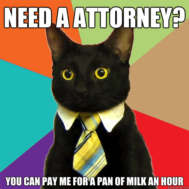 Need A Attorney? You Can Pay Me For A Pan Of Milk An Hour  Business Cat